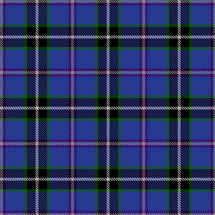 Tartan image: Wytenburg, Charles and Susannah (Personal). Click on this image to see a more detailed version.