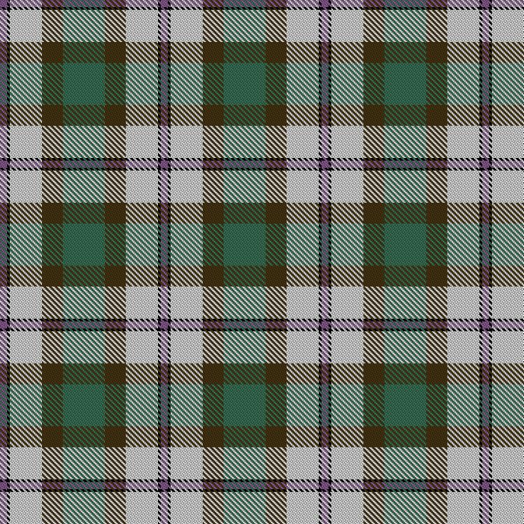 Tartan image: Hadden, M & Family (Personal). Click on this image to see a more detailed version.