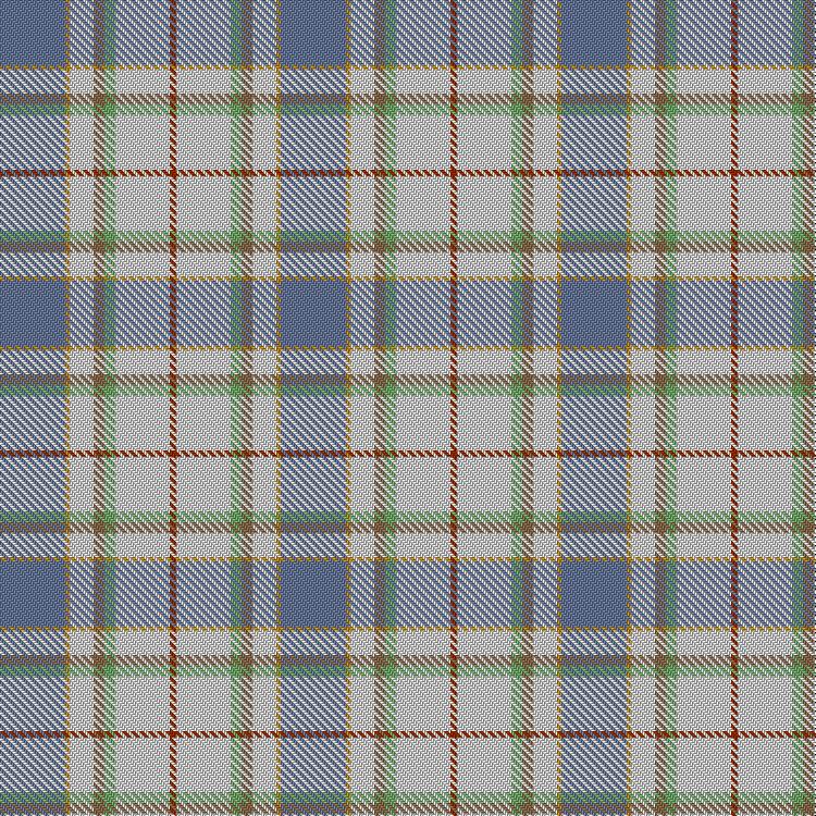Tartan image: Terra School. Click on this image to see a more detailed version.