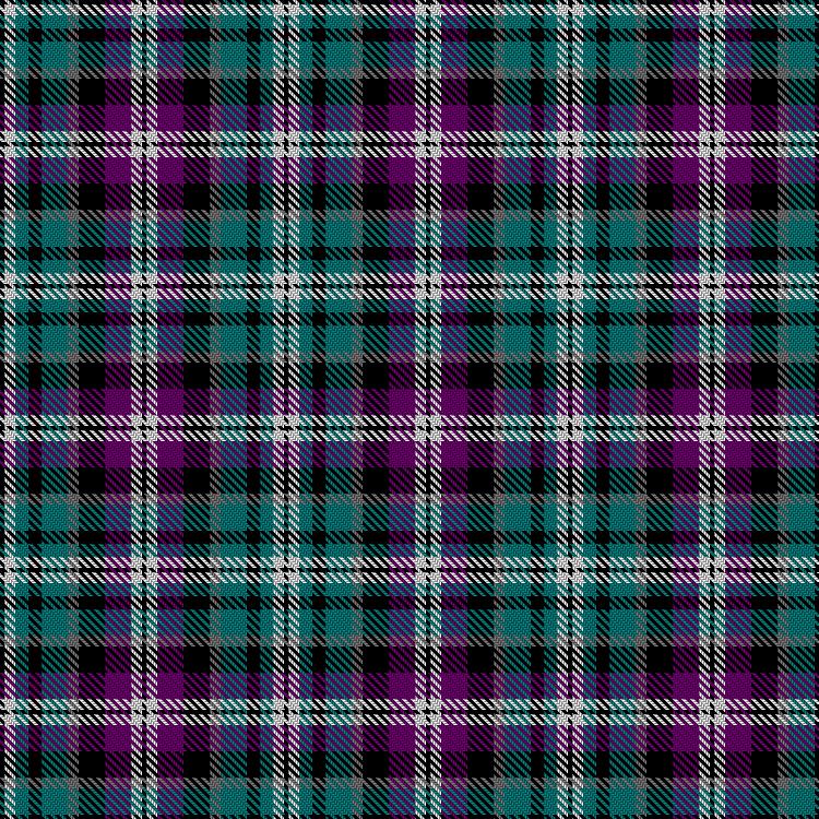 Tartan image: Master and Princess. Click on this image to see a more detailed version.