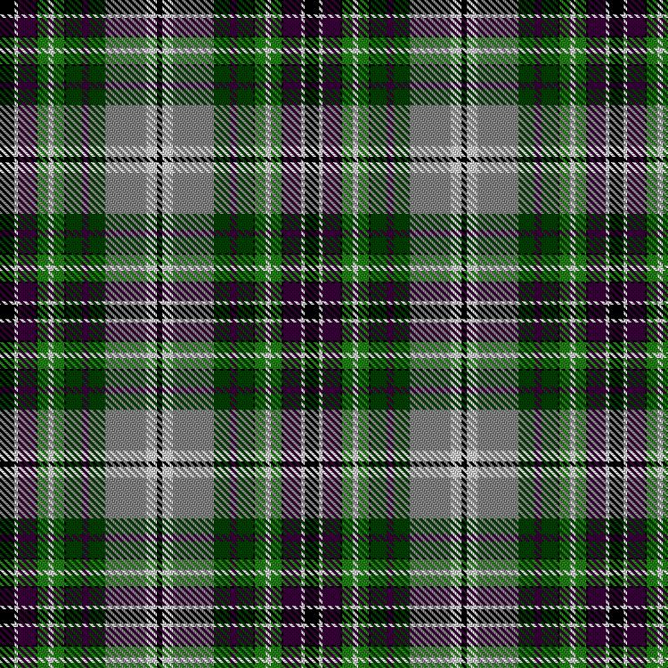 Tartan image: MacVittie, Quinn & Alix (Personal). Click on this image to see a more detailed version.