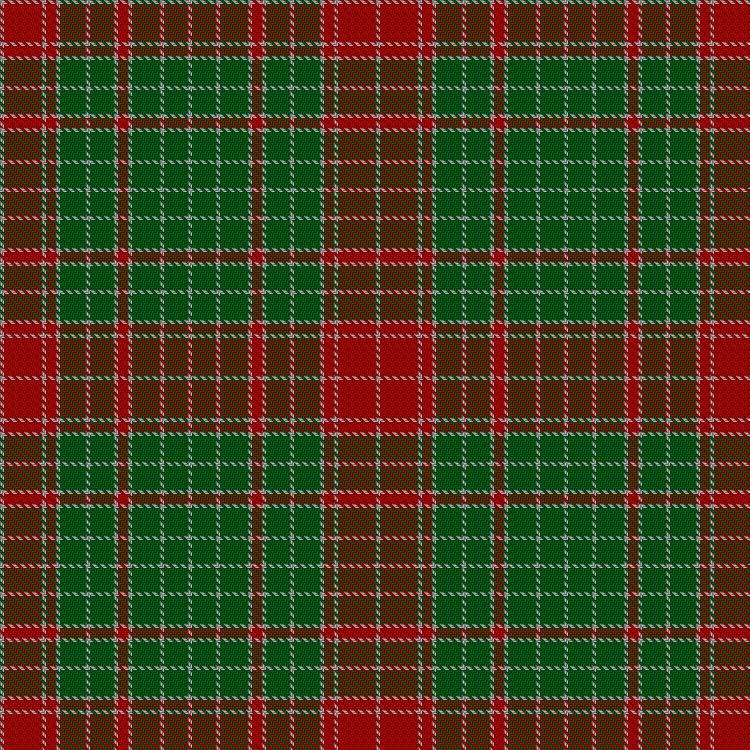 Tartan image: Fraser of Castle Leathers, Major James. Click on this image to see a more detailed version.