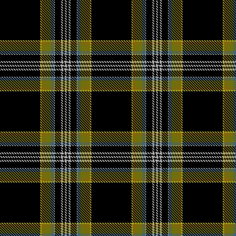 Tartan image: McIntyre Collegium, The. Click on this image to see a more detailed version.