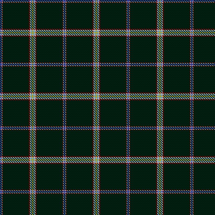 Tartan image: Kirch, D & Family Hunting (Personal). Click on this image to see a more detailed version.