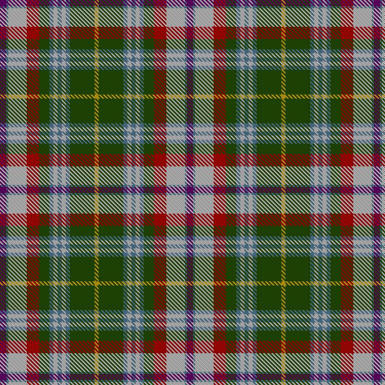 Tartan image: Fredericton #1. Click on this image to see a more detailed version.