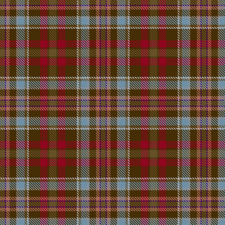 Tartan image: Teddy Bear. Click on this image to see a more detailed version.