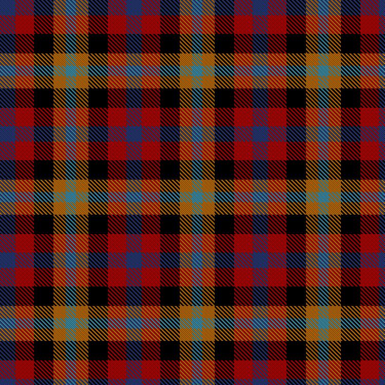Tartan image: Hammermueller, Tim & Family (Personal). Click on this image to see a more detailed version.