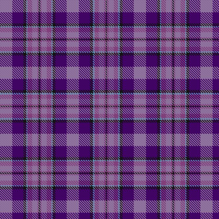 Tartan image: Carse of Gowrie. Click on this image to see a more detailed version.