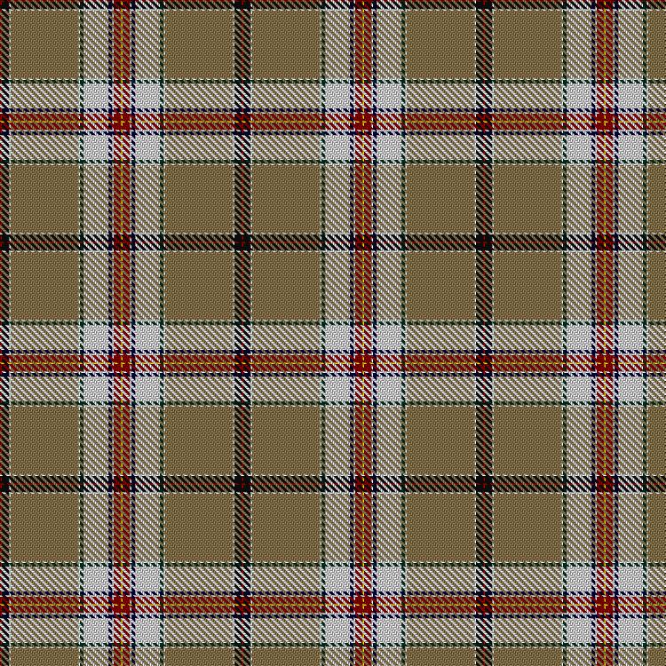 Tartan image: Laethelstan Exploration Light. Click on this image to see a more detailed version.