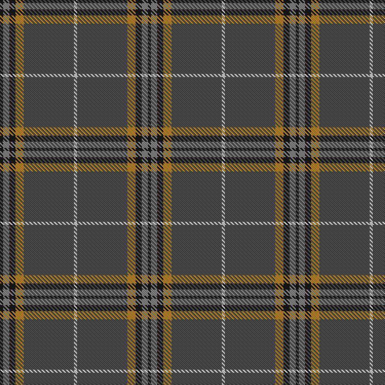 Tartan image: Beatson Cancer Charity. Click on this image to see a more detailed version.