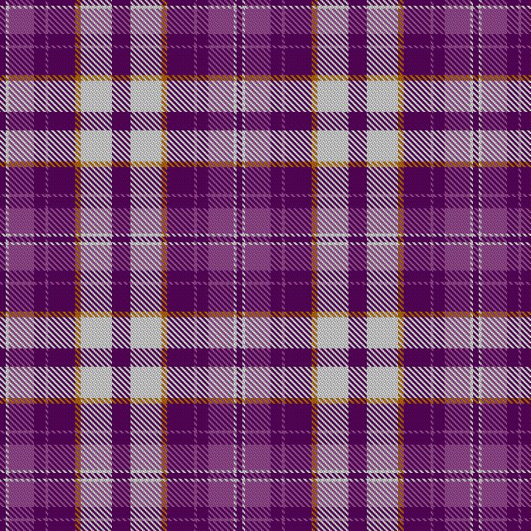 Tartan image: Friendship. Click on this image to see a more detailed version.