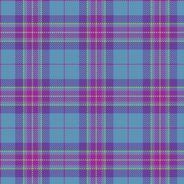 Tartan image: Hope For Life Cancer Awareness. Click on this image to see a more detailed version.