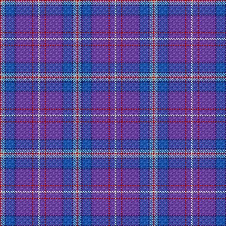 Tartan image: Scottish American Insider. Click on this image to see a more detailed version.