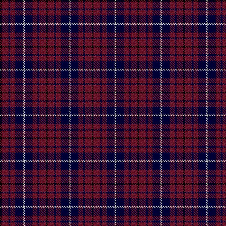 Tartan image: Corps of Royal Engineers. Click on this image to see a more detailed version.