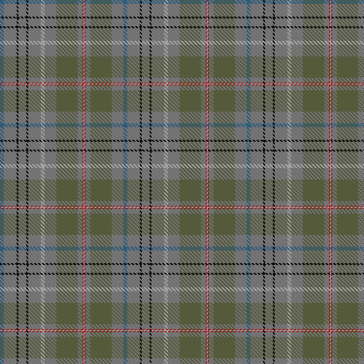 Tartan image: Taylor, Nik & Family (Personal). Click on this image to see a more detailed version.