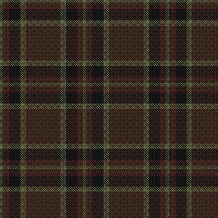 Tartan image: Jordan, James Hunting (Personal). Click on this image to see a more detailed version.