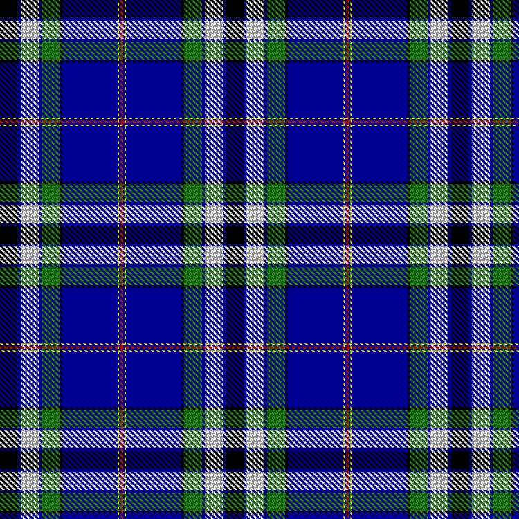Tartan image: Clan Films, The. Click on this image to see a more detailed version.