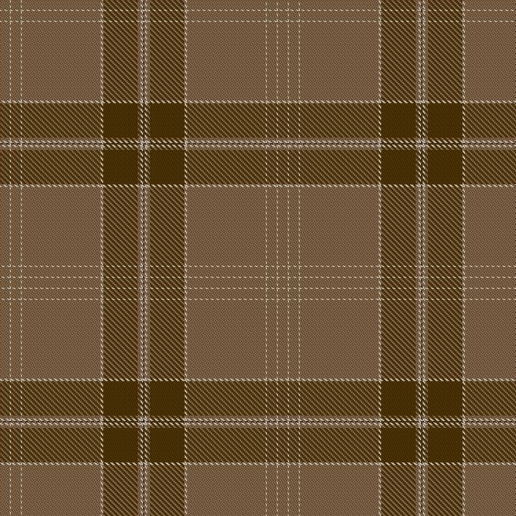 Tartan image: Elements of Endurance – Earth. Click on this image to see a more detailed version.