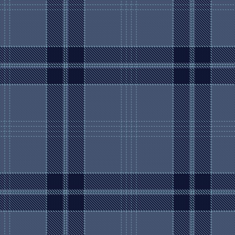 Tartan image: Elements of Endurance – Water. Click on this image to see a more detailed version.