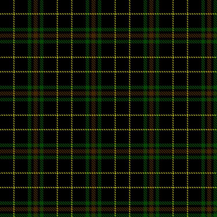 Tartan image: Bertsch, Layton J (Personal). Click on this image to see a more detailed version.