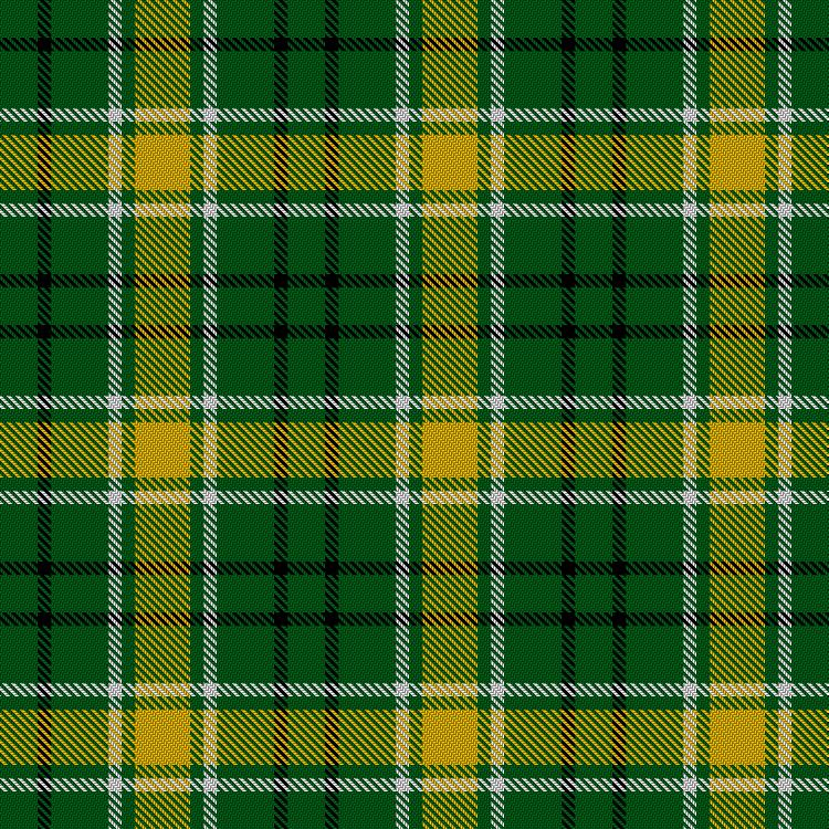 Tartan image: Spirit Of Le Mans (Grand Prix). Click on this image to see a more detailed version.