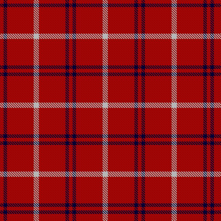 Tartan image: NJIT Highlanders. Click on this image to see a more detailed version.