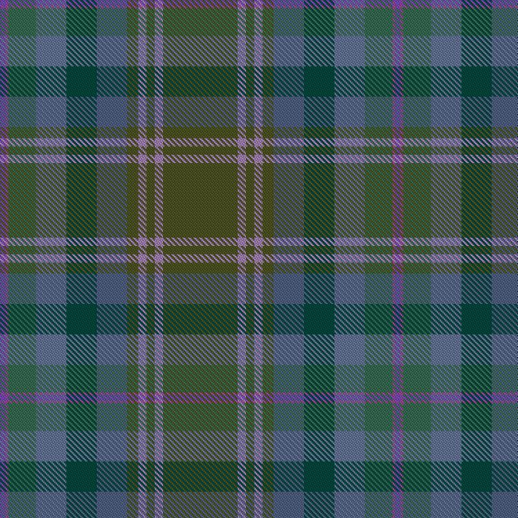 Tartan image: Rannoch - Summer. Click on this image to see a more detailed version.