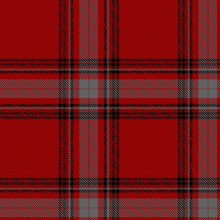 Tartan image: Save Our Scotland - The Hands of the Future. Click on this image to see a more detailed version.