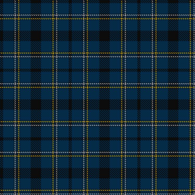 Tartan image: Forbes, Brian and Family (Personal). Click on this image to see a more detailed version.
