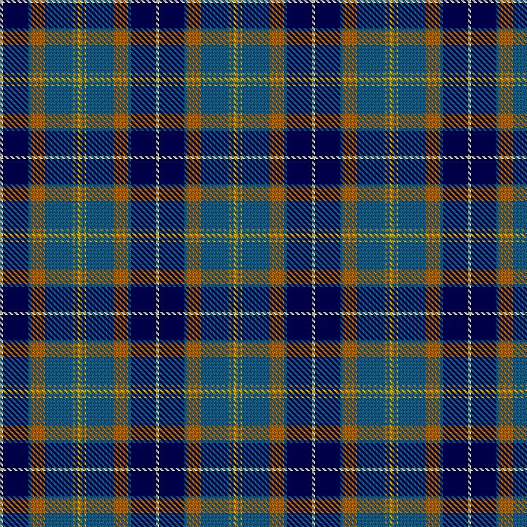 Tartan image: Brothers and Sisters of Paramedicine. Click on this image to see a more detailed version.