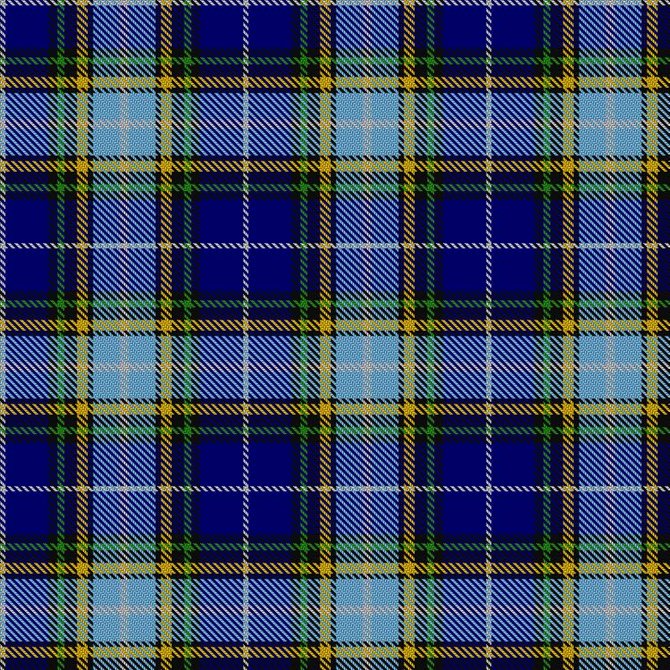 Tartan image: Camp Glen Arden Blue. Click on this image to see a more detailed version.