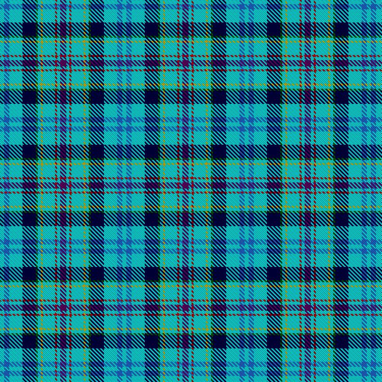 Tartan image: Hyndman, Henry & Family (Personal). Click on this image to see a more detailed version.