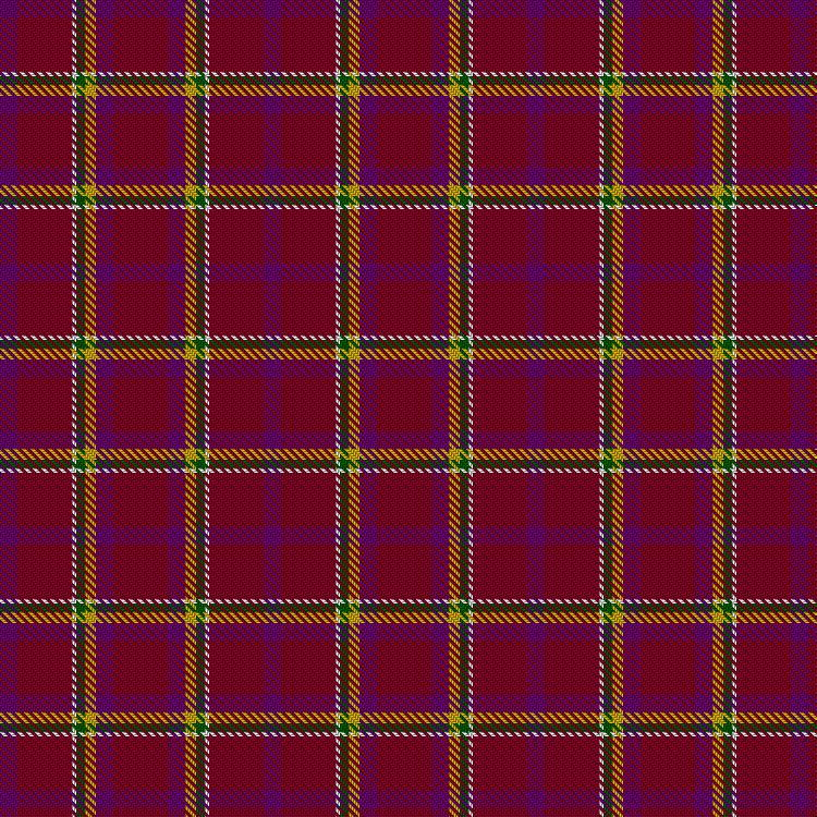 Tartan image: Choi, J & Family (Personal). Click on this image to see a more detailed version.