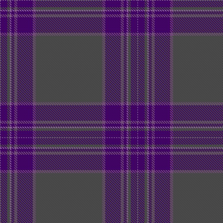 Tartan image: Carroll, Megan (Personal). Click on this image to see a more detailed version.