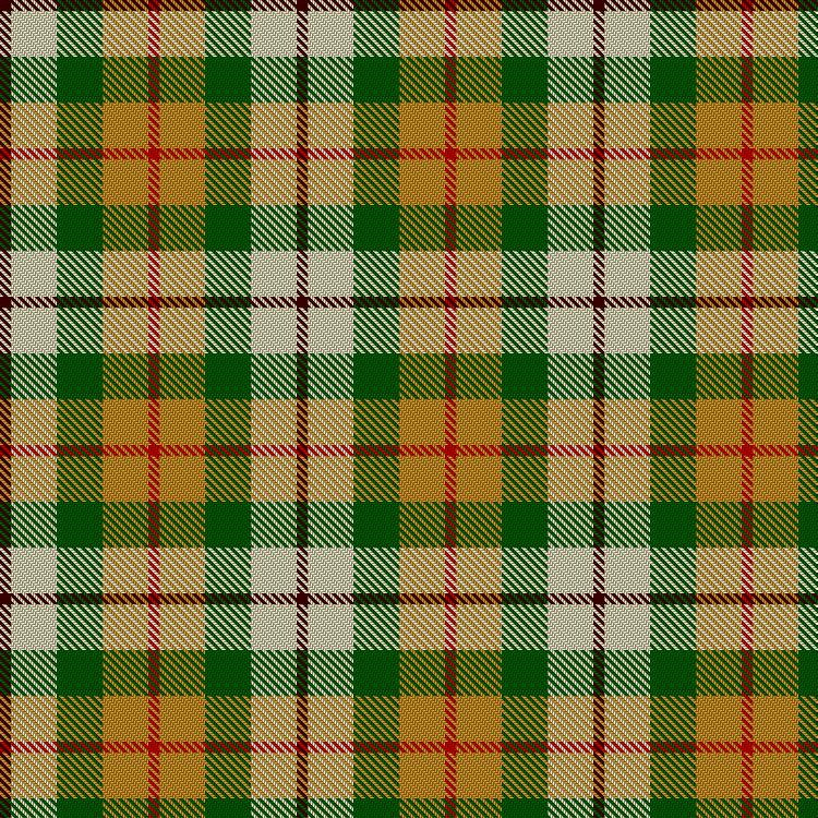 Tartan image: Patole, Ezekiel (Personal). Click on this image to see a more detailed version.