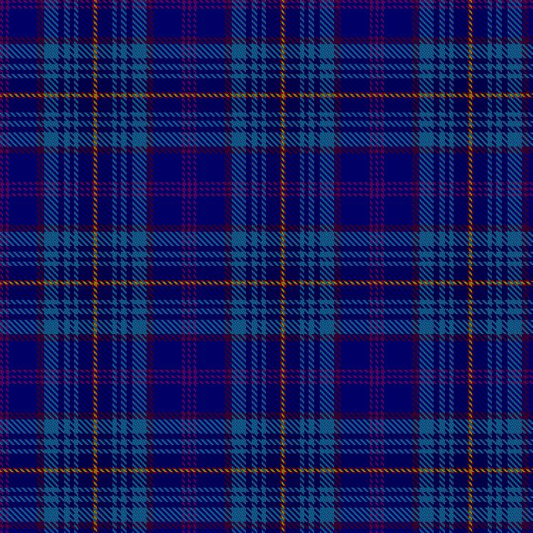 Tartan image: De Ridder Liu, S A L & J and Family (Personal). Click on this image to see a more detailed version.