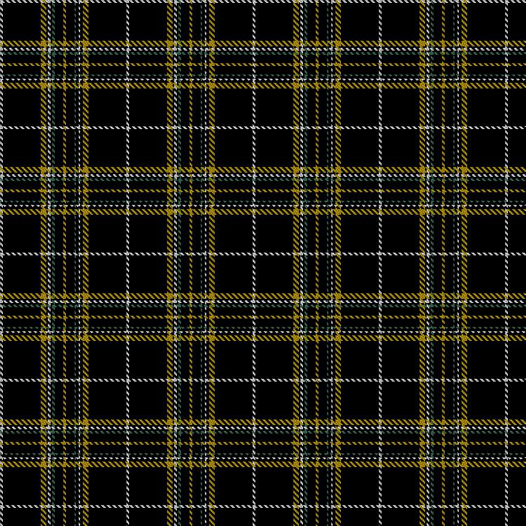 Tartan image: Fort William Football Club. Click on this image to see a more detailed version.