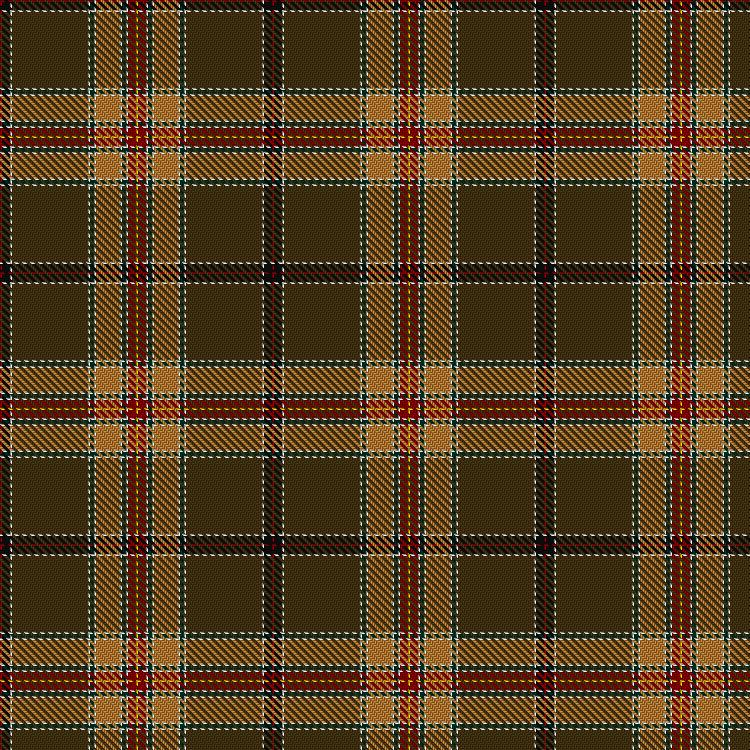 Tartan image: Laethelstan Old Times. Click on this image to see a more detailed version.