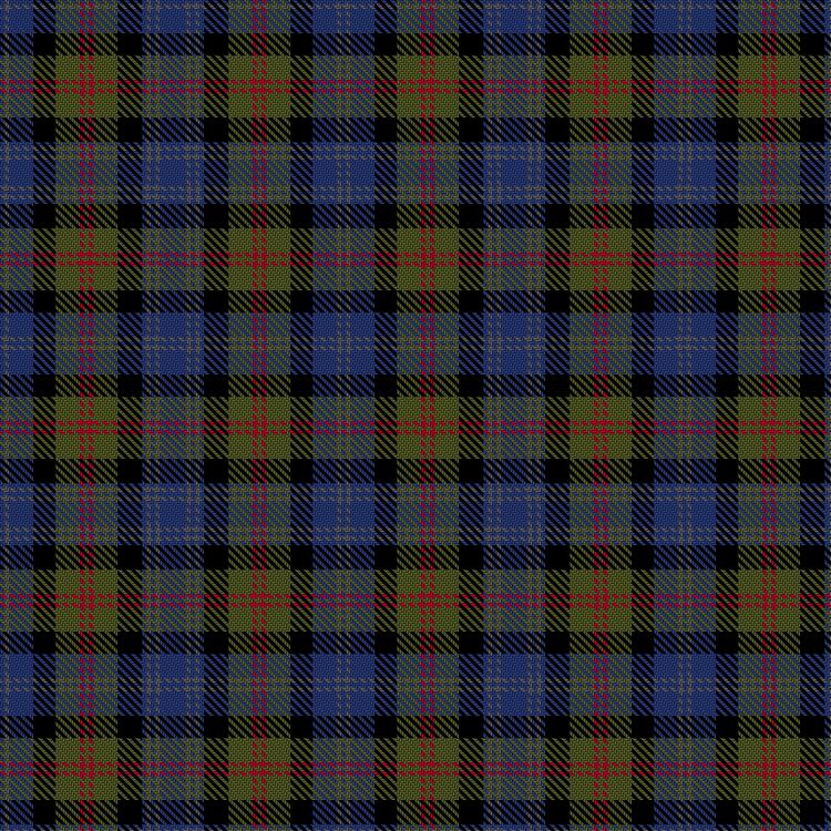 Tartan image: Society of Antiquaries of Scotland Fellowship. Click on this image to see a more detailed version.
