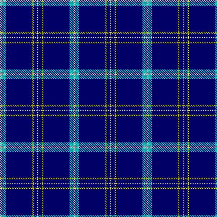 Tartan image: Compagnie d'Arc d'Ermont. Click on this image to see a more detailed version.