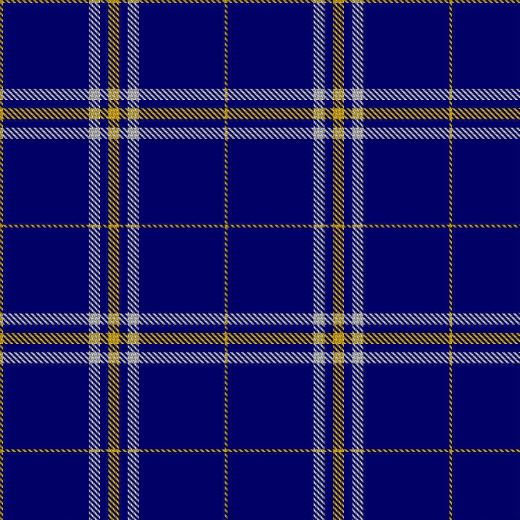 Tartan image: Vicente, Oscar Silva & Family (Personal). Click on this image to see a more detailed version.