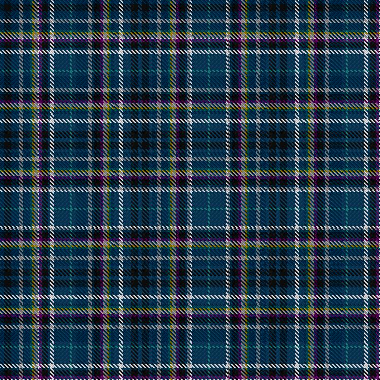 Tartan image: Aitken, Iain (Personal). Click on this image to see a more detailed version.