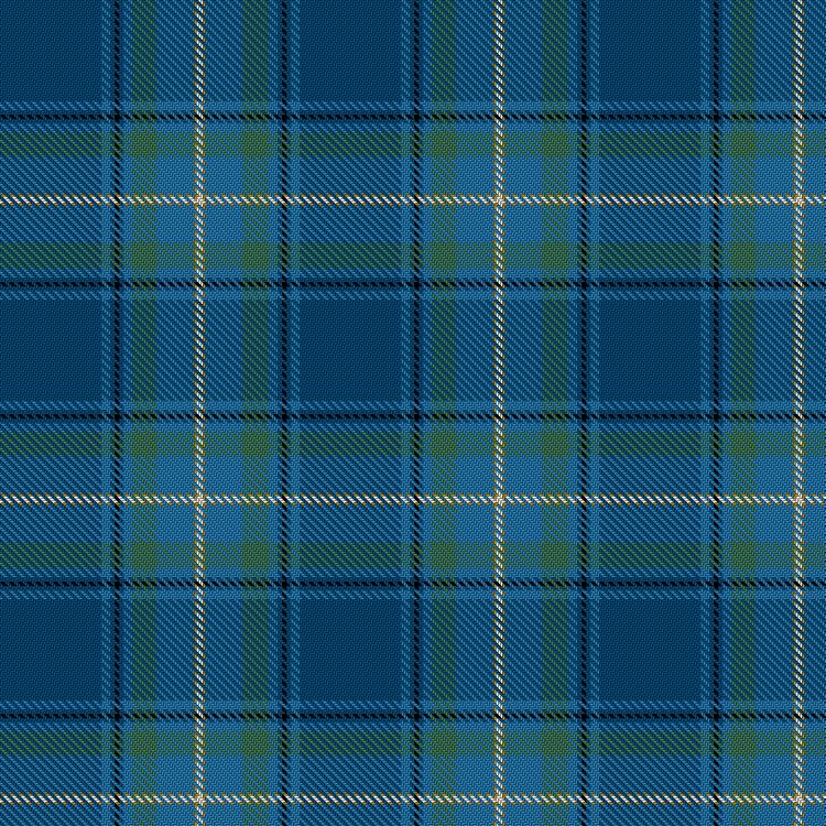 Tartan image: CPA Group. Click on this image to see a more detailed version.