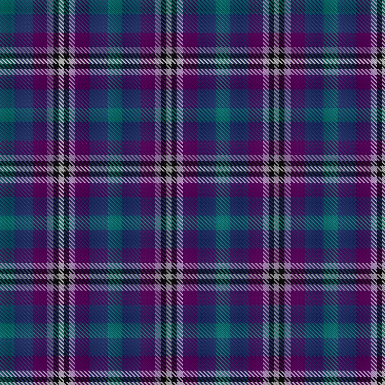 Tartan image: Richardson, Shanleigh Kathleen (Personal). Click on this image to see a more detailed version.