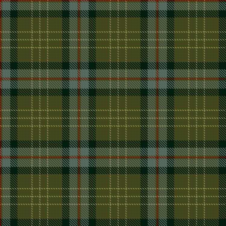 Tartan image: Leckie, M & Family (Personal). Click on this image to see a more detailed version.