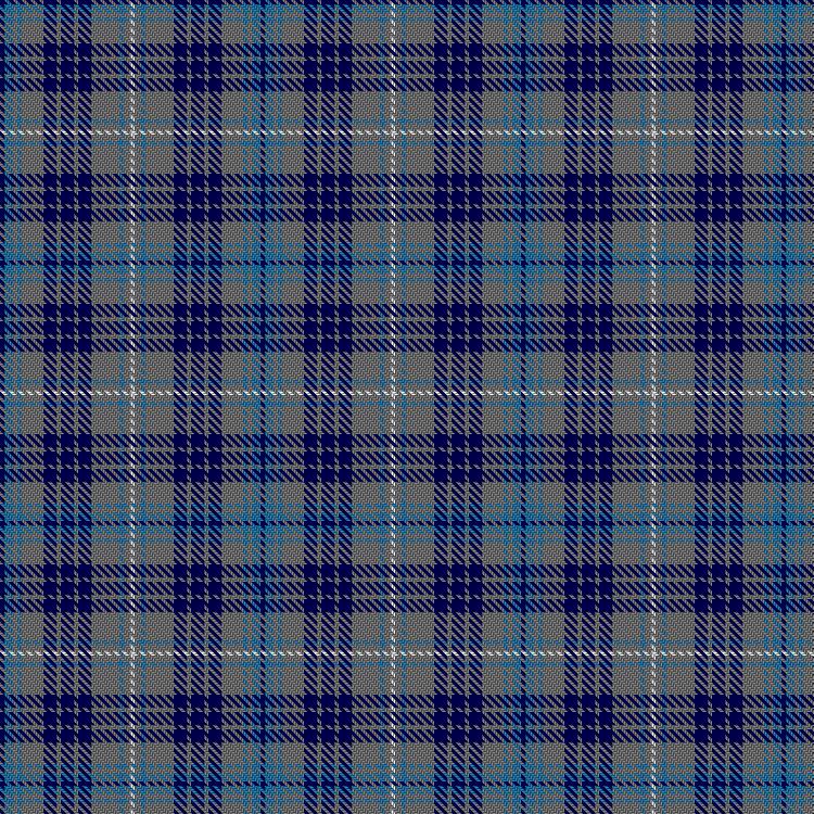 Tartan image: Scotmid. Click on this image to see a more detailed version.