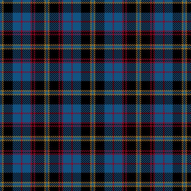 Tartan image: MacTyler - Battlefield Earth. Click on this image to see a more detailed version.
