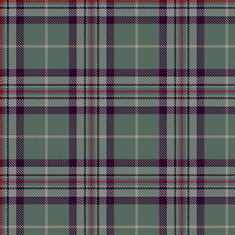 Tartan image: O'Raghallaigh, R & Family (Personal). Click on this image to see a more detailed version.