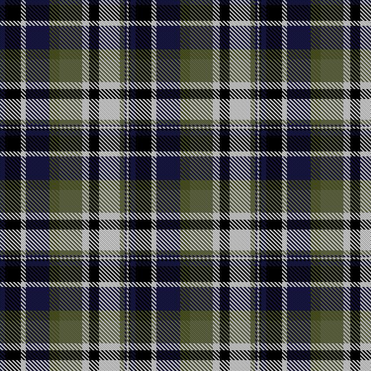 Tartan image: Mountain Grosbeak. Click on this image to see a more detailed version.