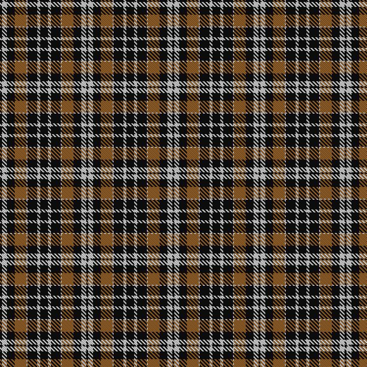 Tartan image: Coding With Beagles - Suzie. Click on this image to see a more detailed version.